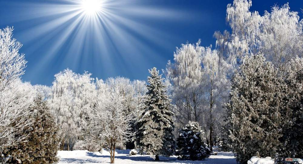 winter-sun_1152x864_sc