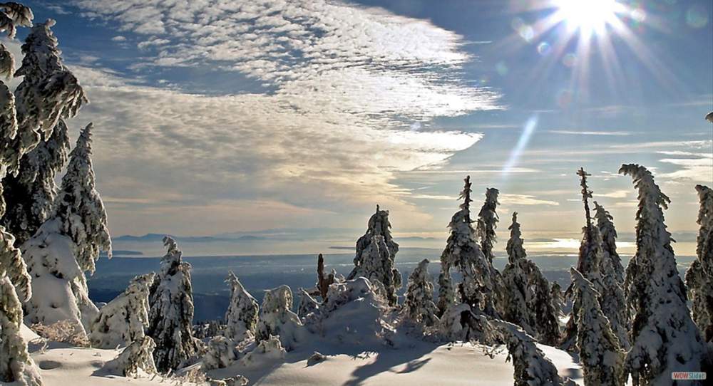 winter-sun_1152x864_sc (2)